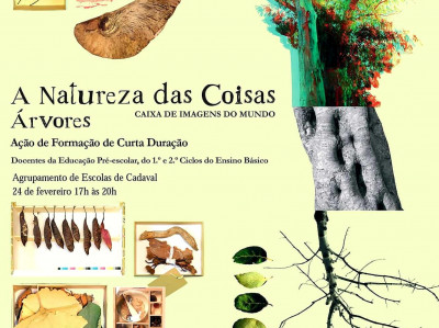 05NF2022 - A Natureza das Coisas / Caixa de Imagens do Mundo Árvores